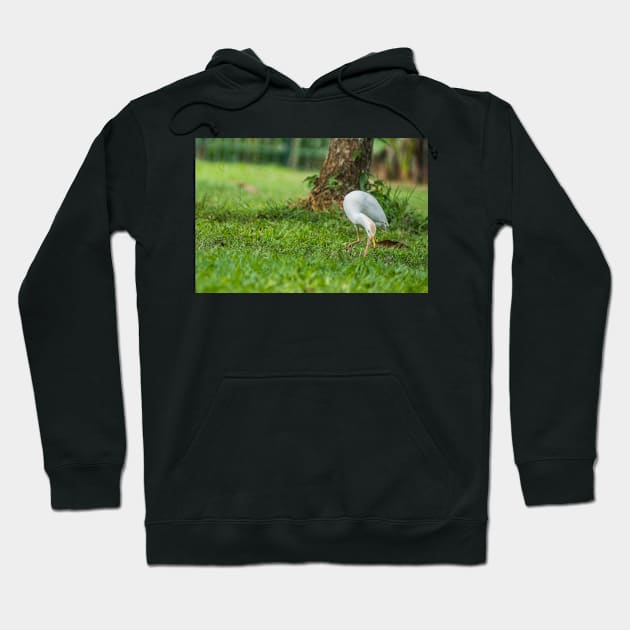 Cattle Egret 4 Hoodie by KensLensDesigns